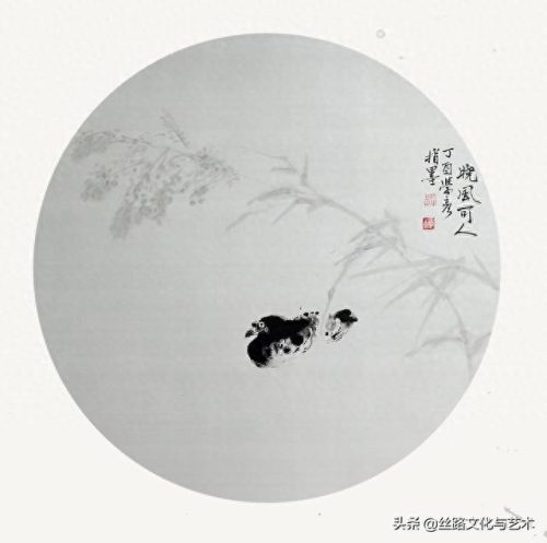 白腹凯克鹦鹉(凯克多少钱一只)插图18