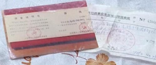 第11届全运会(第11届全运会游泳比赛)插图