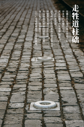 北京天坛简介(北京天坛医院最擅长什么)插图15