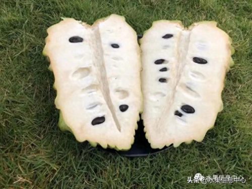 释迦果排名前十(释迦果什么口感最好)插图18