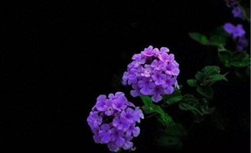 金凤区新车补漆排名前十(贺兰县新车补漆排名前十)插图19