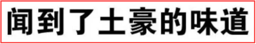 长春豪宅洋房排名前十(长春豪宅排名第一)插图16