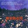 好听的中文歌曲(超好听的中文歌曲)插图10