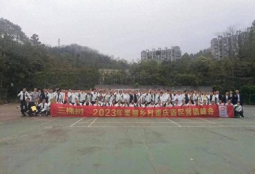 重庆外墙排名前十(重庆十大玻璃幕墙住宅)插图2