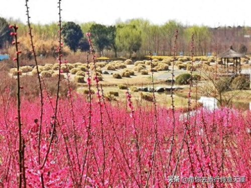 高邮景点排名前十(高邮市景点排名)插图11