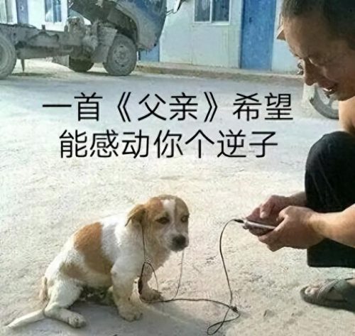 听音乐图片(听歌图片大全唯美)插图1