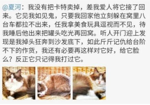 夏河洛洛洛分手原因(夏洛和夏河)插图5
