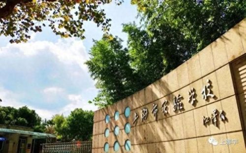 东滩小学排名前十(松江区小学排名一览表)插图3