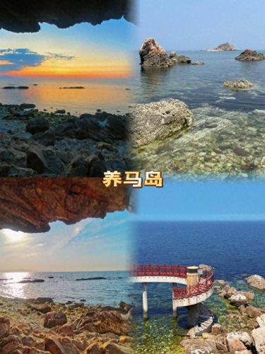 天津岛屿排名前十(天津哪个海岸最好)插图3