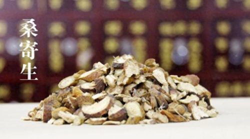 桑寄生的功效与作用及食用方法(桑寄生图片)插图6