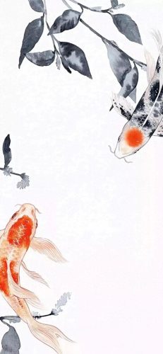 鱼鱼桌面秀(鱼鱼桌面秀侧边栏)插图77