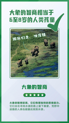 什么的大象(又什么又什么的大象)插图5