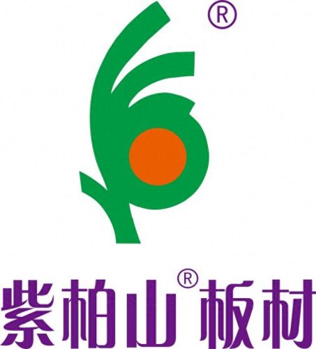 中国排名前十的木业(中国有哪十大板材)插图14