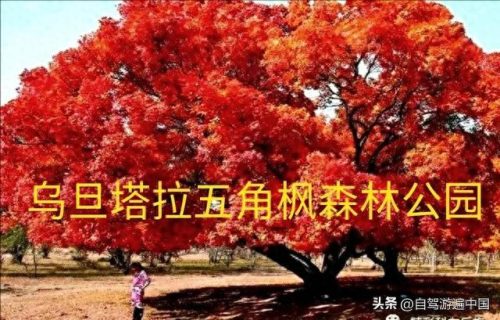 内蒙古20个景区排名前十(内蒙古十大五a景点)插图20
