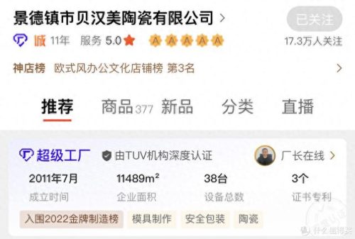 瓷瓶摆件排名前十(素色瓷瓶摆件)插图18