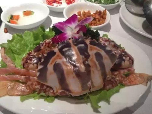 陕北高端餐饮排名前十(陕北菜饭店排行榜前十)插图20