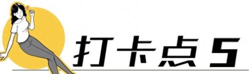 荷兰旅游排名前十(荷兰花海)插图28