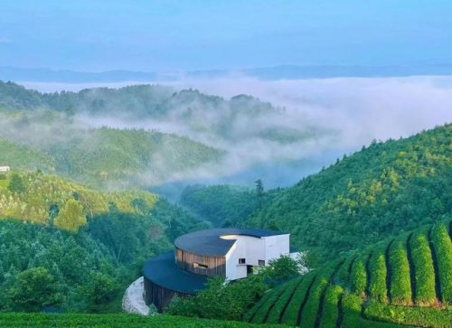 贵州好喝奶茶排名前十(贵州小吃)插图11