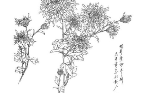 叶开头的成语(根开头的成语)