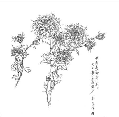 叶开头的成语(根开头的成语)插图