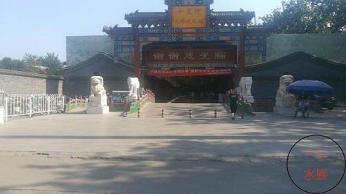 北京水族市场排名前十(大连水族市场排名)插图