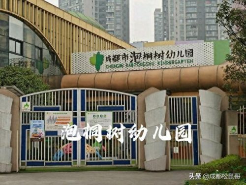 成都幼儿园中小学排名前十(成都高新区小学前30名排名)插图6