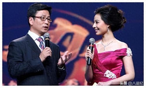 白岩松为什么被央视解雇了(白岩松事件的影响)插图18