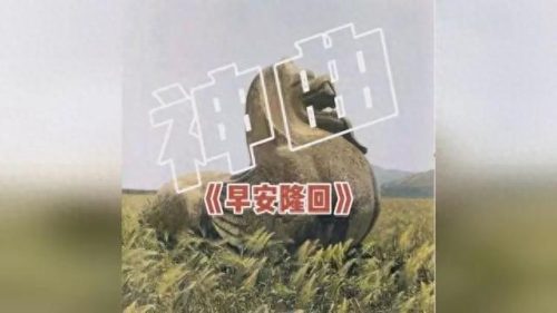 唐磊歌曲(唐磊全部歌曲)插图7
