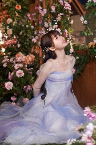 小花流量排名前十(小花粉丝排行榜)插图2