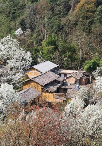 梨花小镇排名前十(梨花小镇景点介绍)插图4