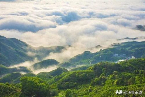中国文化贸易产品排名前十(中国文化产品排行榜)插图52