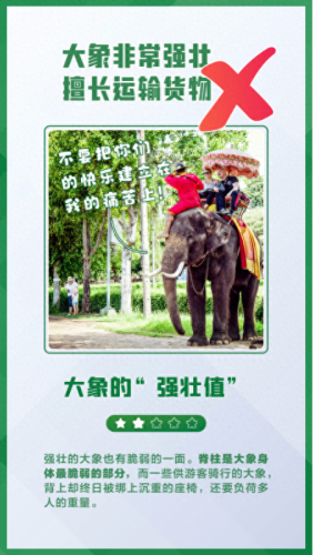 什么的大象(又什么又什么的大象)插图4