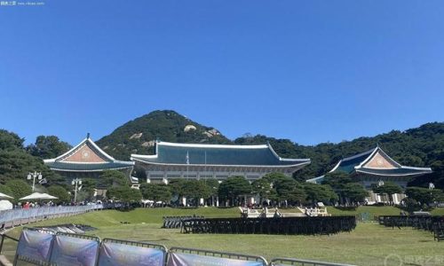 亚洲V码和欧洲S码的区别(XL码和L码谁大)插图