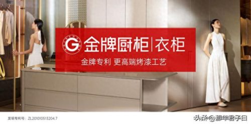 景德镇柜子公司排名前十(景德镇衣柜橱柜厂)插图3