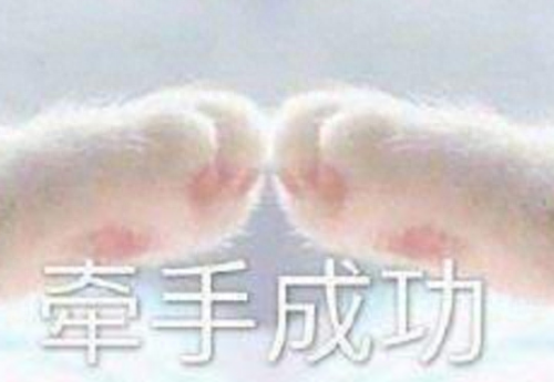激战2盗号(激战2营救)插图3