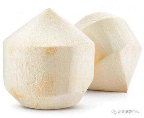 椰子品牌排名前十(椰子鞋品牌的代工厂)插图2