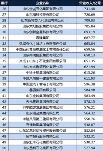 山东医药收入排名前十(山东诺力克医药科技有限公司)插图3