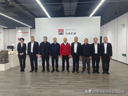 衡水砂石公司排名前十(衡水装饰公司排名)插图