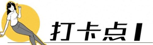 荷兰旅游排名前十(荷兰花海)插图1