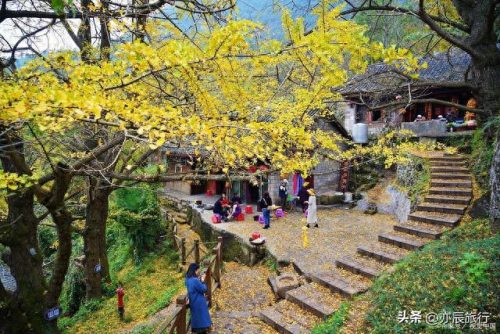银杏景点排名前十(中国十大银杏景区)插图20