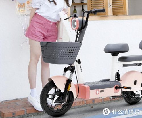 高续航电动自行车排名前十(2023高续航电动自行车排行)插图7