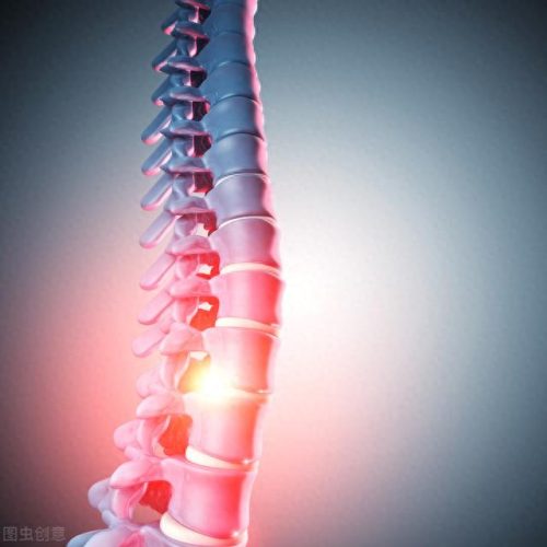 桑寄生的功效与作用及食用方法(桑寄生图片)插图1