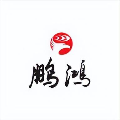 湖南木制家具厂家排名前十(湖南实木家具排名)插图10