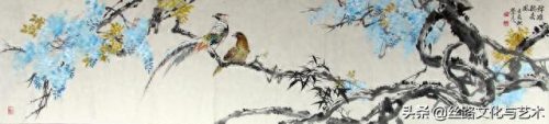 白腹凯克鹦鹉(凯克多少钱一只)插图8