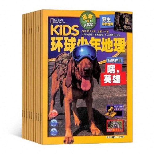 学生思维排名前十(学生十种思维方法)插图6