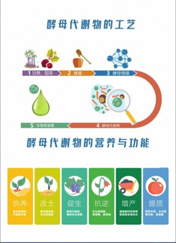 全国微生物实验室排名前十(微生物实验室六大分区)插图2