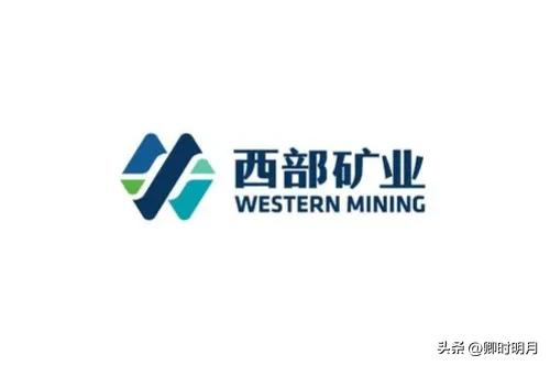 青海医药首富排名前十(青海首富刘盛春身价)插图