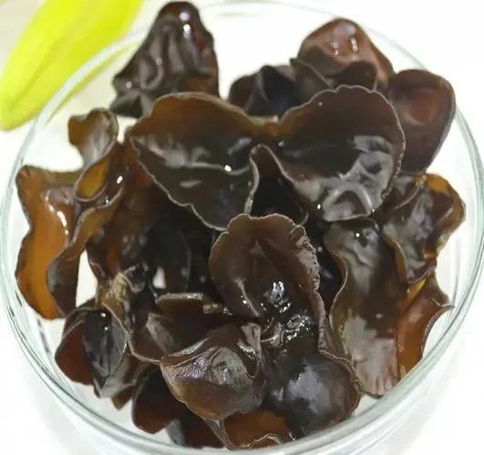 世界名贵蘑菇排名前十(东北十大名贵蘑菇)插图1