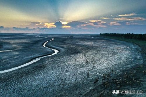 盐城水域排名前十(盐城市省内排名)插图55
