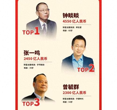 全国前十大富豪排名顺序(全国十大富豪排行榜2020)插图